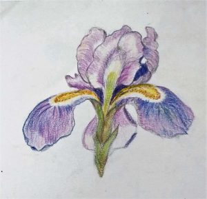 L'ALCHIMIA DELLA FIDUCIA